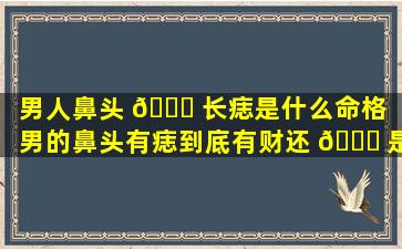 男人鼻头 🐒 长痣是什么命格「男的鼻头有痣到底有财还 🍀 是破财」